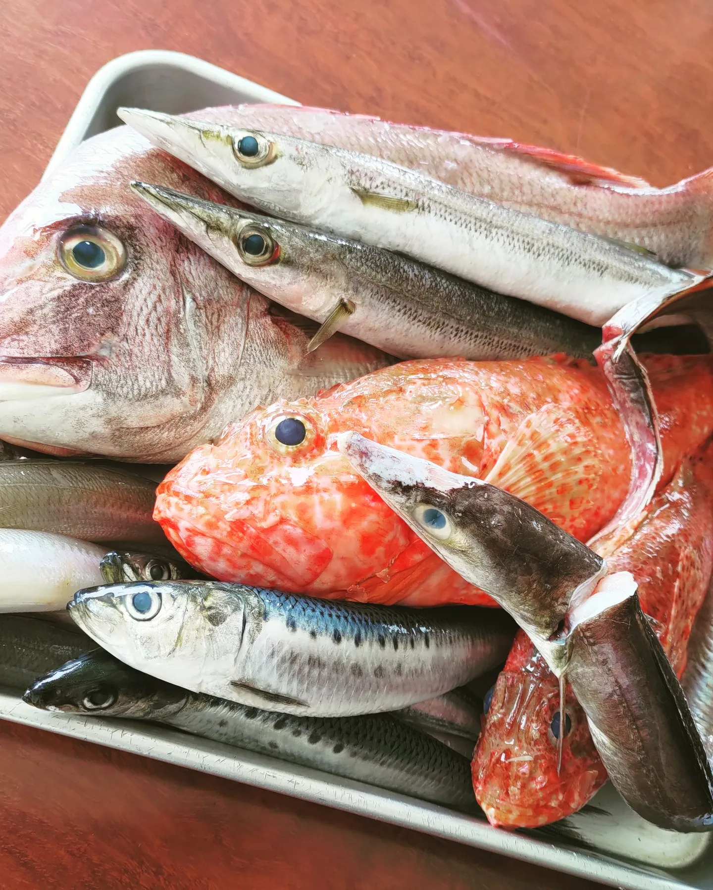 この週末はいろいろなお魚と共に【鹿児島市のバー、Comutus~コミュータス~】