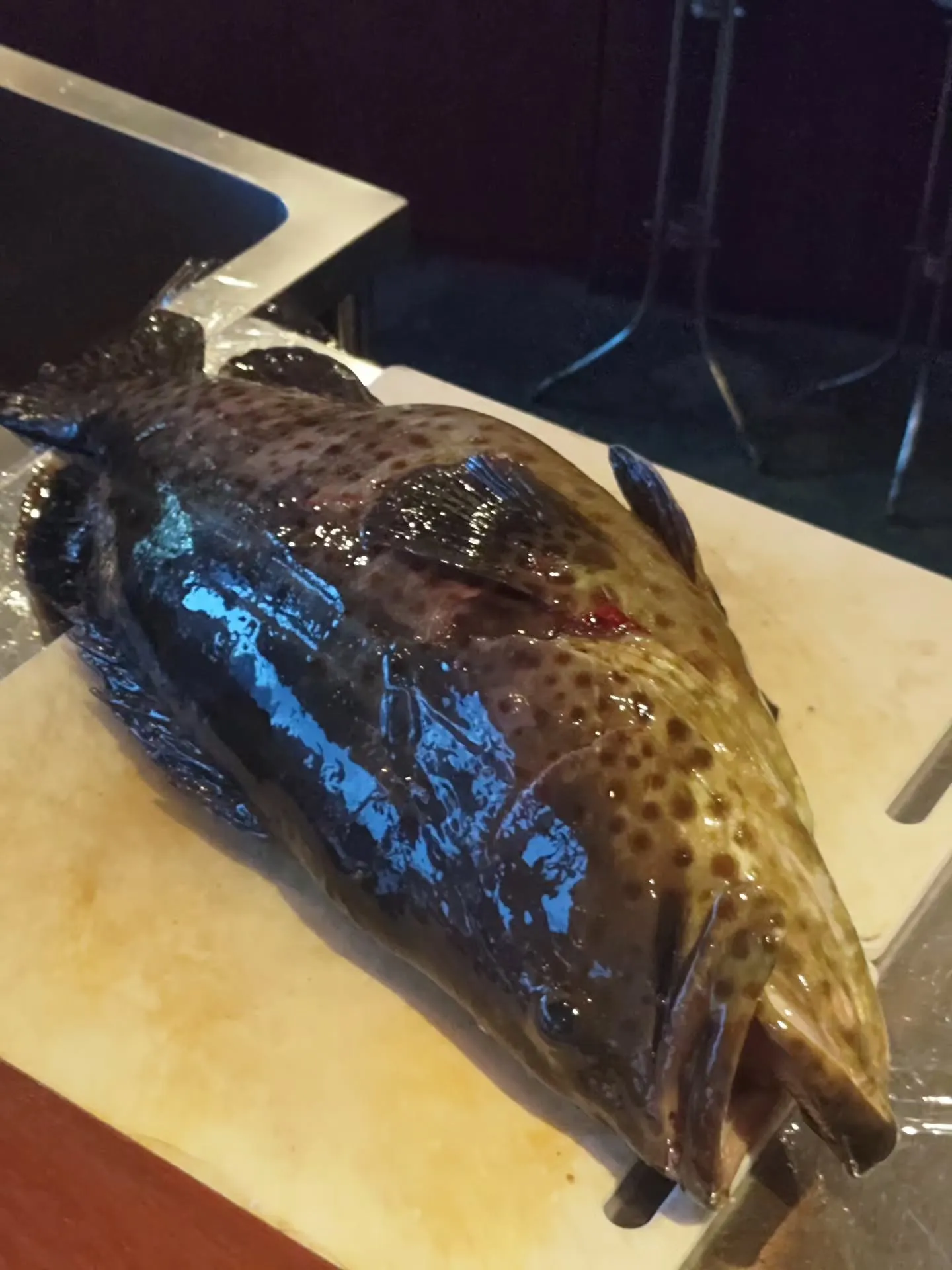 鹿児島市天文館のイタリアン&バー